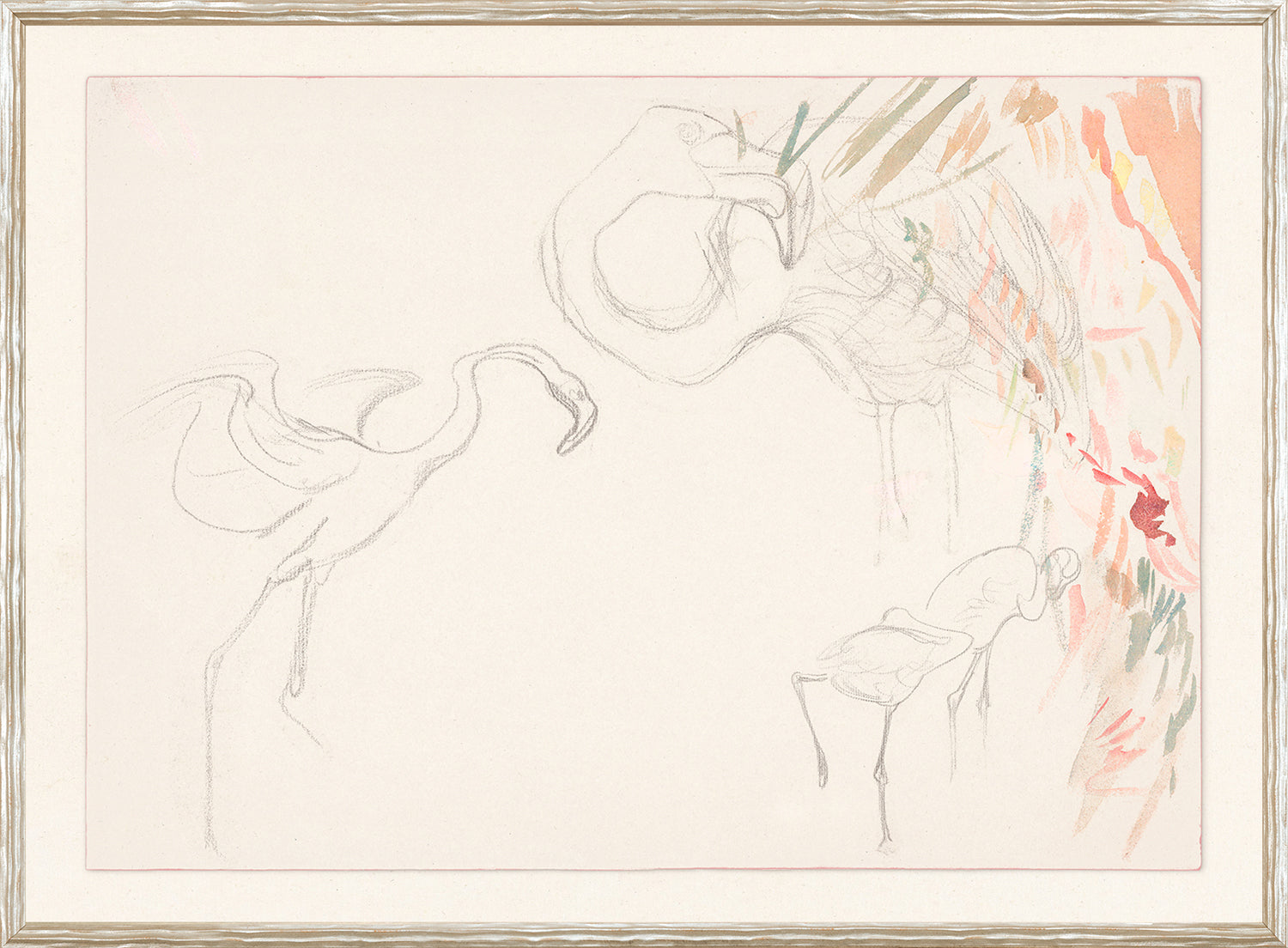 Collection 24 Flamingo Graphite Study