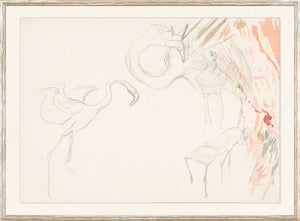 Collection 24 Flamingo Graphite Study