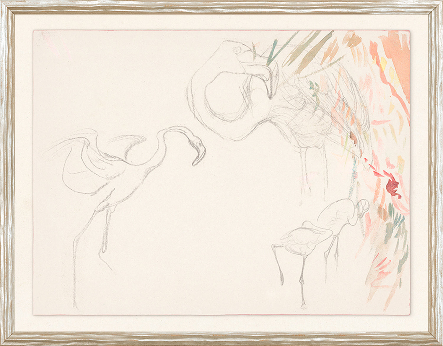 Collection 24 Flamingo Graphite Study C 1910 framed art print
