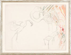 Collection 24 Flamingo Graphite Study C 1910 framed art print