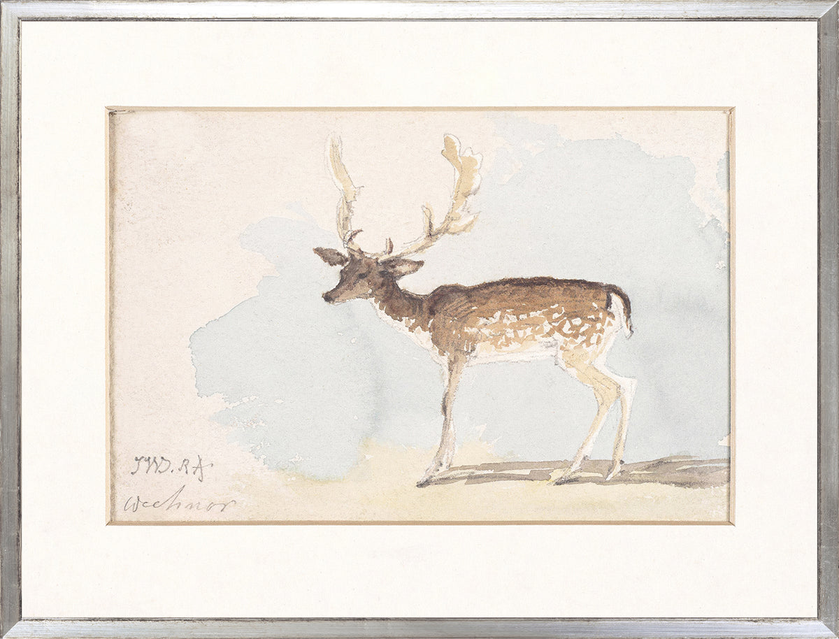 Collection 24 Deer & Rabbit Study Pair Bundle — nature and landscape fine art print in warm tones at Laurie Yapp Home