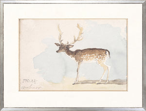 Collection 24 Deer & Rabbit Study Pair Bundle — nature and landscape fine art print in warm tones at Laurie Yapp Home
