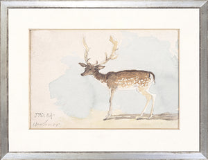 Collection 24 Watercolour Deer Study C 1822 framed art print