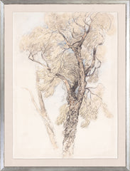 16 × 21 po