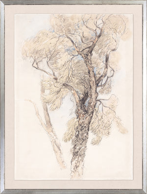 Collection 24 Letter & Tree Study Pair Bundle — still life fine art print shown from another angle