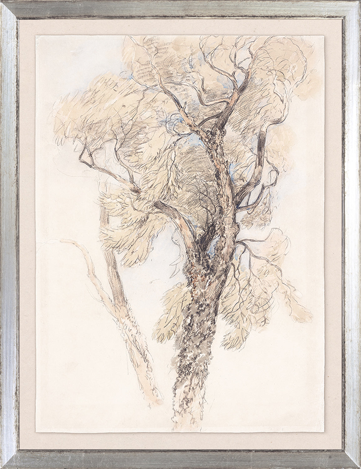 Collection 24 Watercolour Tree Study C 1889 framed art print