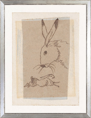 Collection 24 Rabbit Study C 1906 framed art print