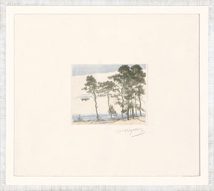Sand Dunes