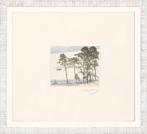 Collection 24 Sand Dunes C 1902 framed art print