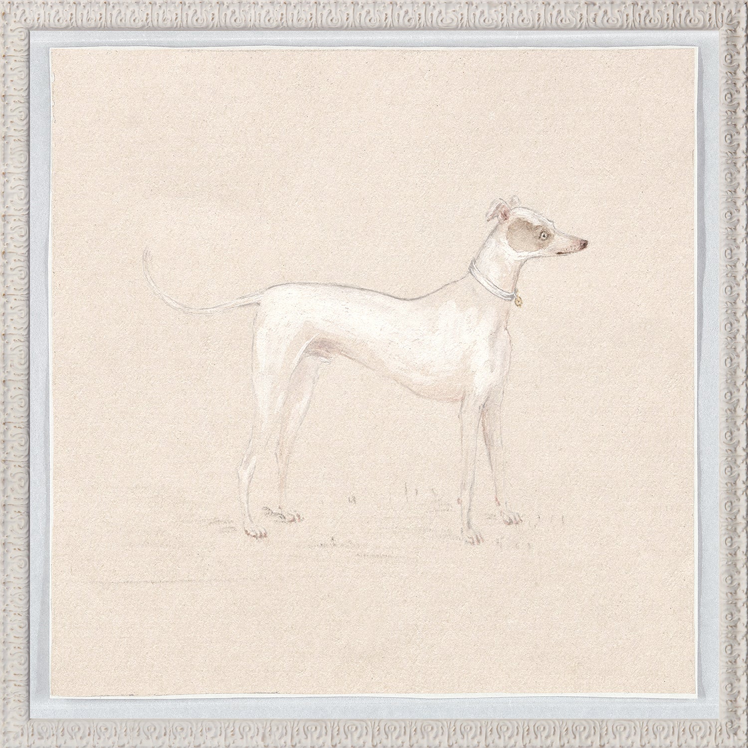 Collection 24 Dog Studies Pair Bundle - composite