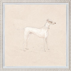 19,5 × 19,5 po