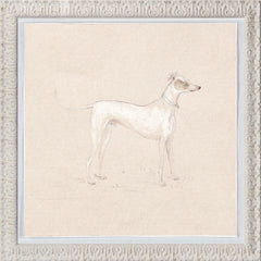 11,5 × 11,5 po