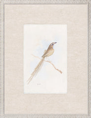 16,5 × 21,5 po