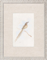 10,5 × 13,5 po
