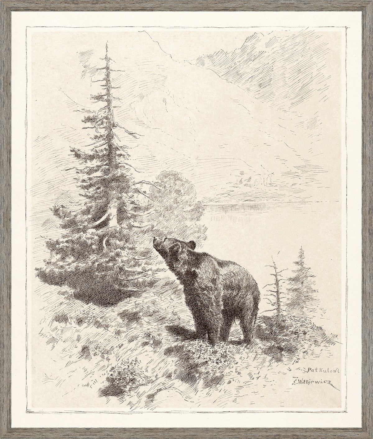Bear in the Mountains
