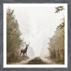 22 x 22 po – Cadre Gris