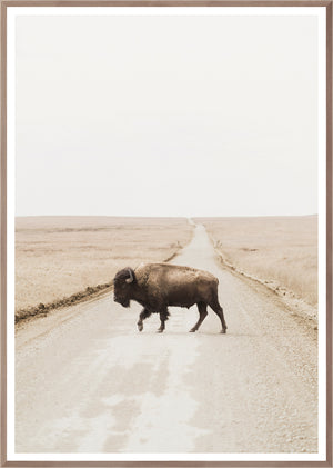 Prairie Range