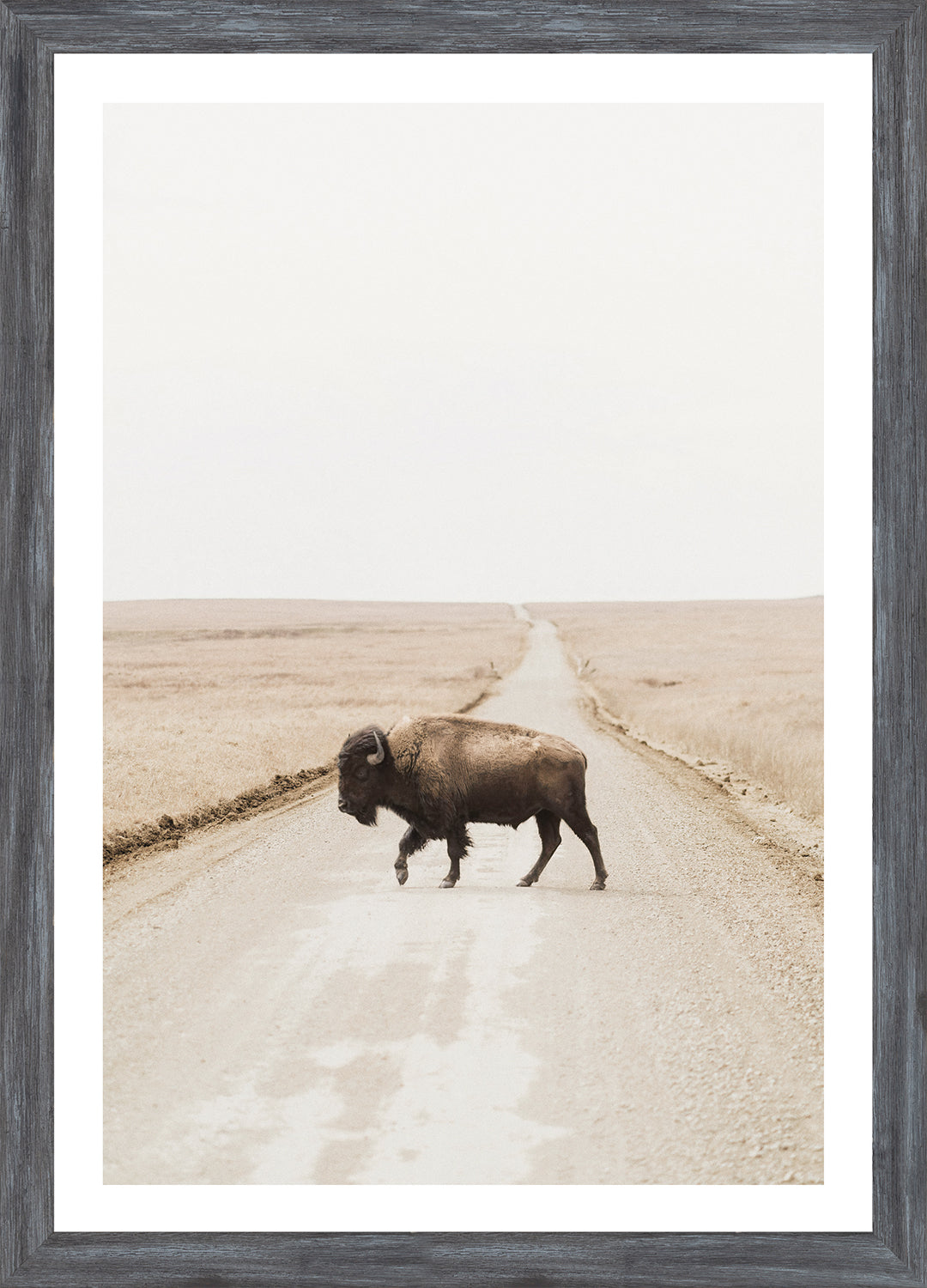 Prairie Range — nature and landscape fine art print in neutral tones at Laurie Yapp Home