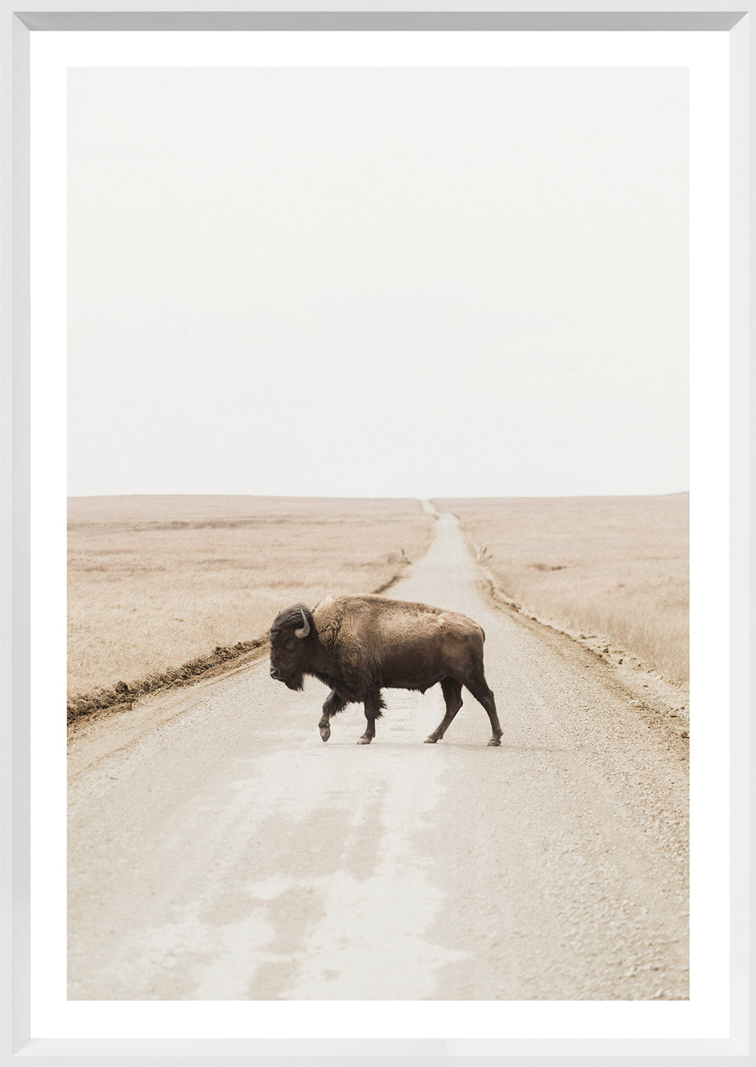 Prairie Range — nature and landscape fine art print shown from another angle