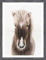 20 × 26 po – Encadré sous verre, Cadre gris