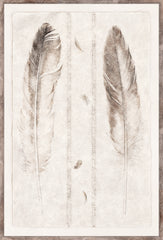 21 × 31 po