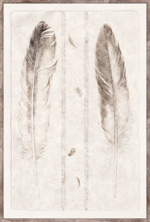 Etude De Plumes I framed art print