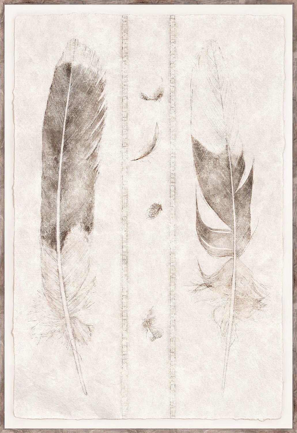 Étude de Plumes Large Format Pair Bundle — nature and landscape fine art print shown from another angle