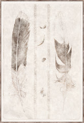 33 × 48 po