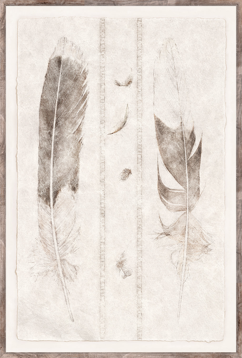 Etude De Plumes Ii framed art print