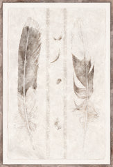 21 × 31 po