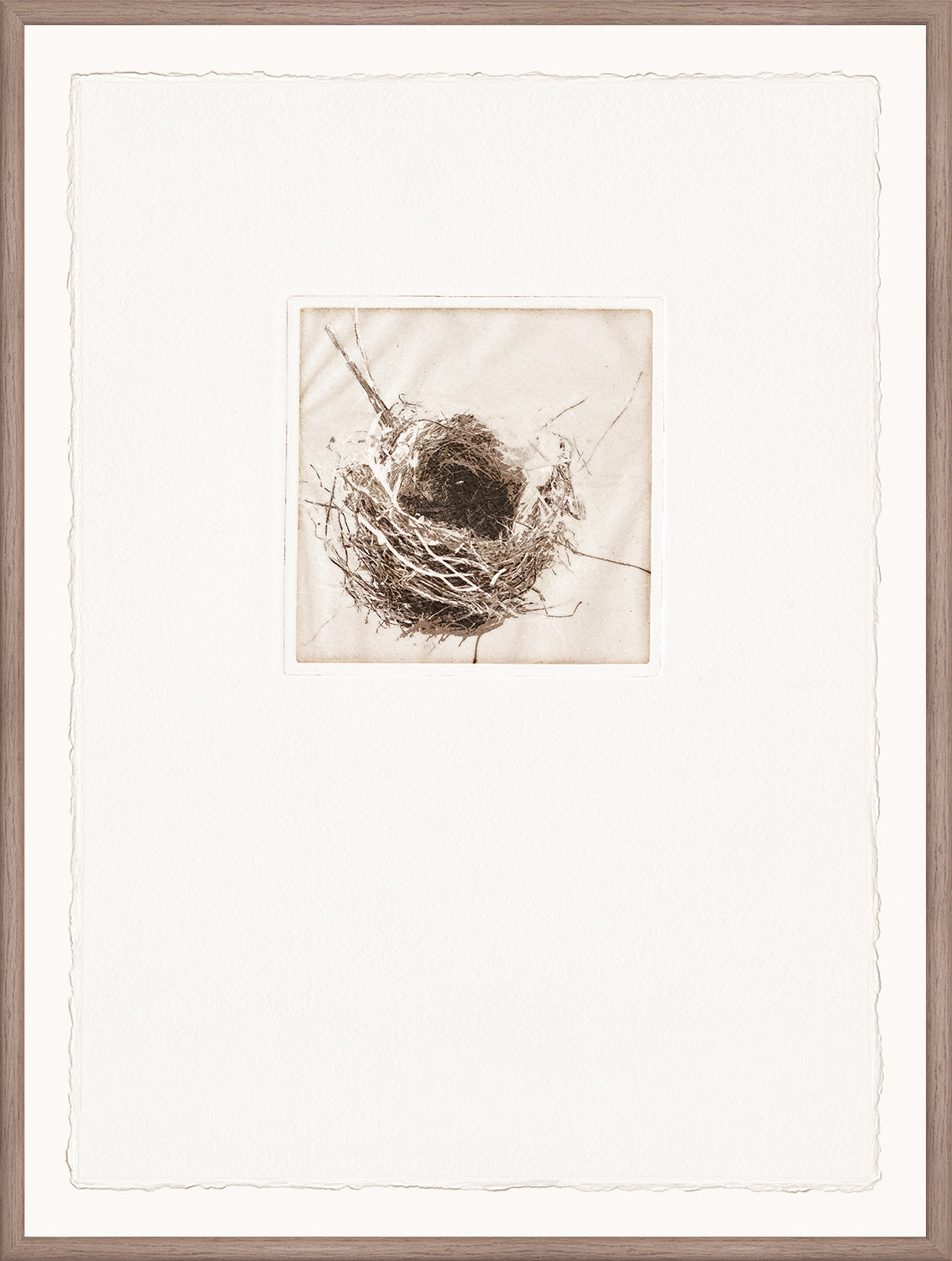 Intaglio Nests Complete Quartet Bundle - composite