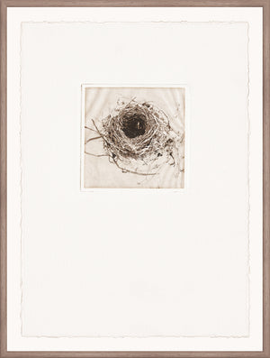 Intaglio Nests III