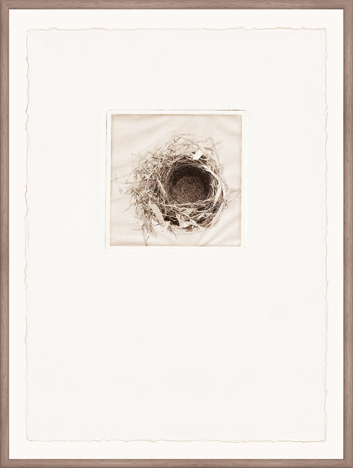 Intaglio Nests IV