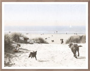 Dogs Only Beach wall art