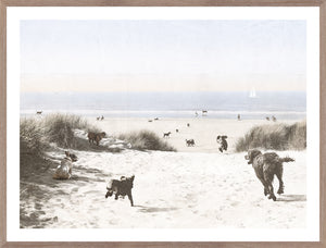 Dogs Only Beach wall art