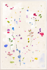 33,5 × 49,5 po