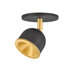 Tuthill Flush Mount in aged brass shown from a second angle to highlight the shade profile and mounting canopy.