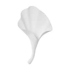 Gesso blanc