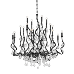 Noir Feuille d'Argent