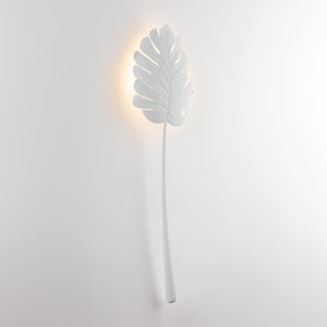 Seychelles Wall Sconce shown from the front to reveal the arm curve and shade silhouette.