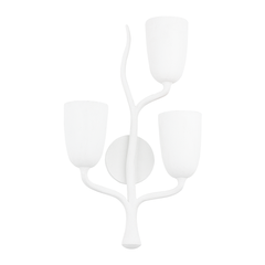 Plâtre blanc