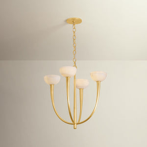 Maywood Chandelier 22.75" shown from a second angle to highlight the frame, arms, and shade detail.