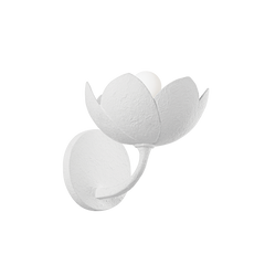 Gesso blanc