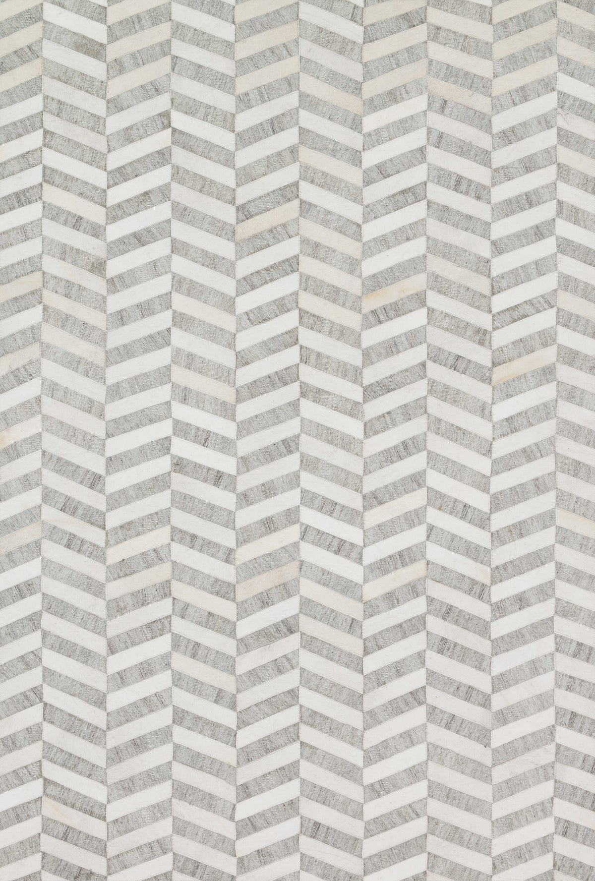 Dorado Grey / Ivory — a Loloi rug at Laurie Yapp Home.