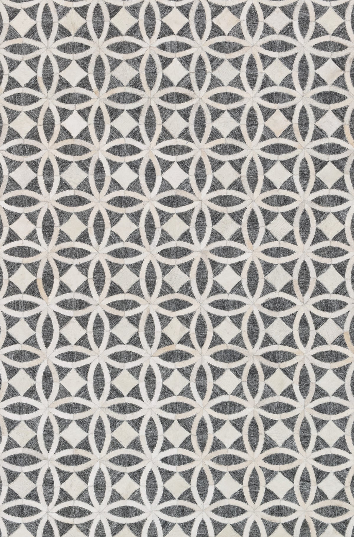 Dorado Graphite / Ivory — a Loloi rug at Laurie Yapp Home.