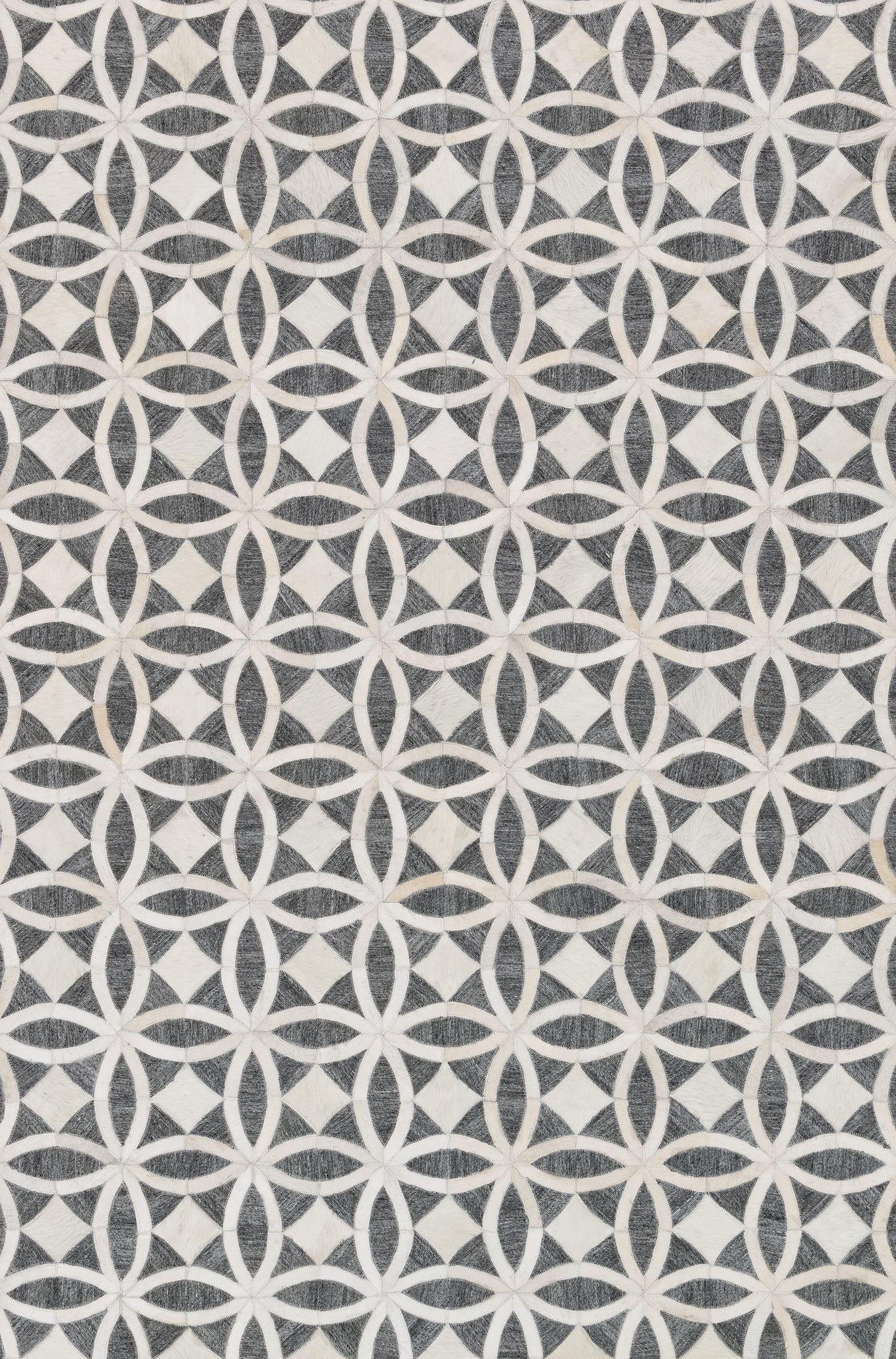 Dorado Graphite / Ivory — a Loloi rug at Laurie Yapp Home.