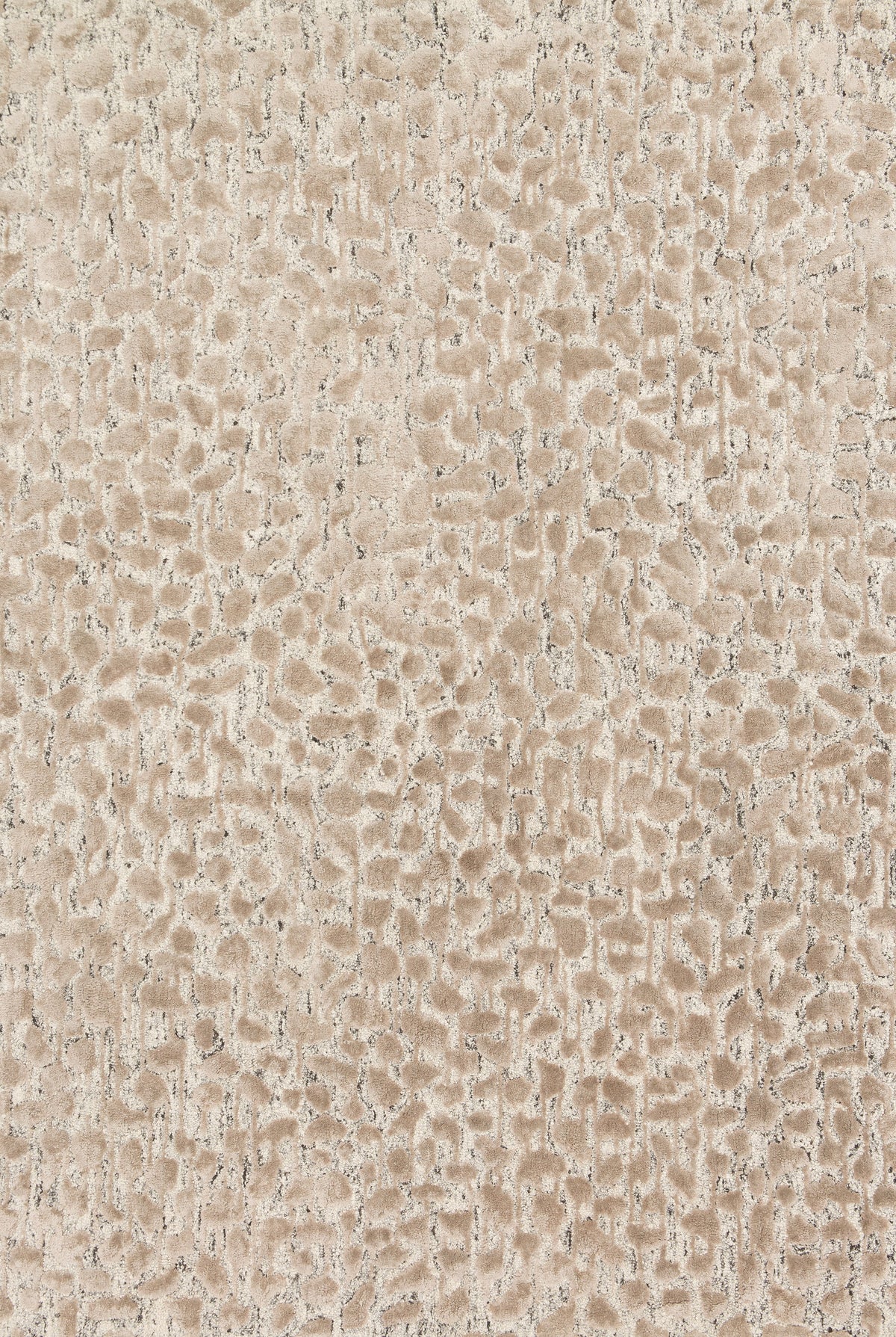 Juneau Ash / Taupe — a Loloi rug at Laurie Yapp Home.