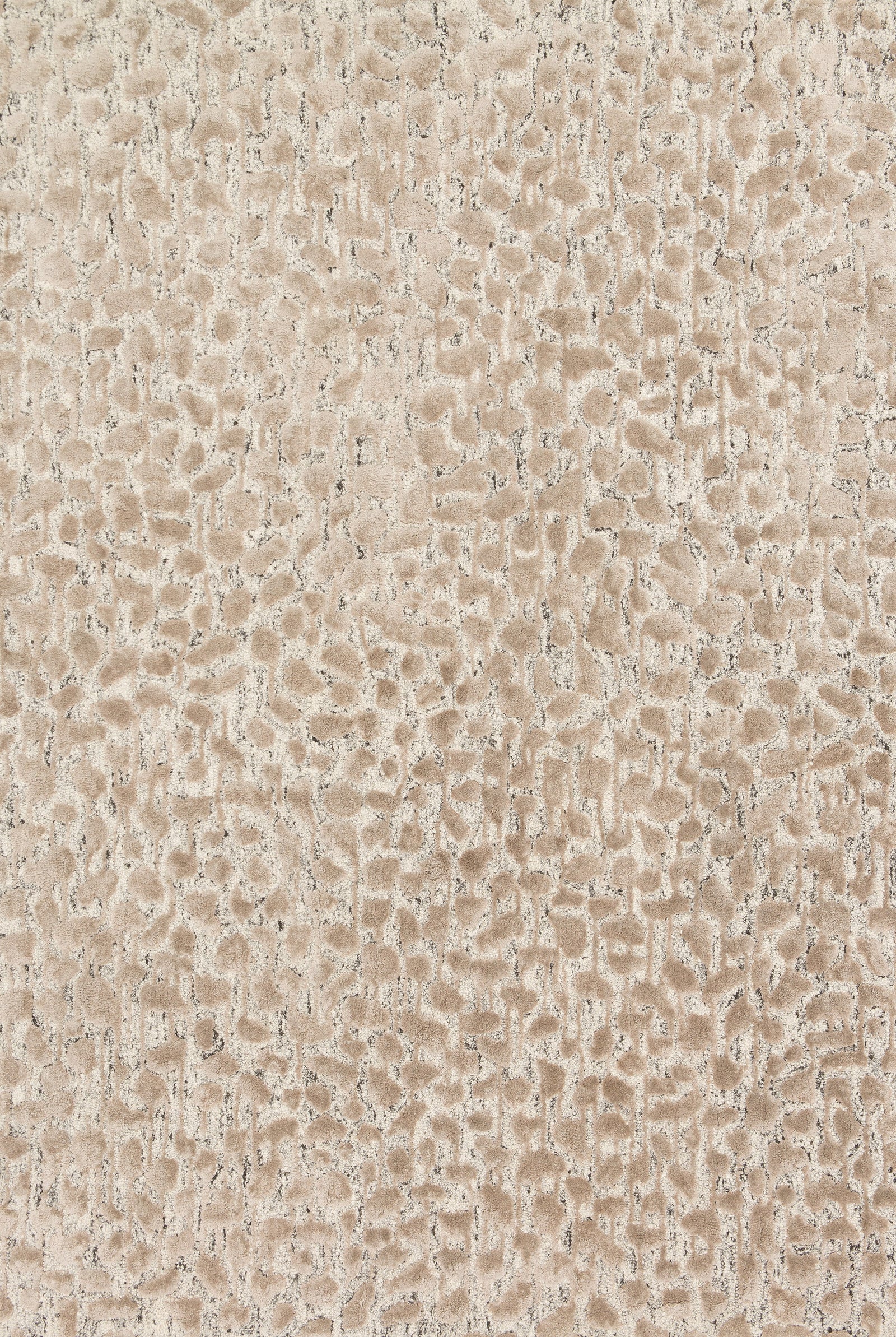 Juneau Ash / Taupe — a Loloi rug at Laurie Yapp Home.