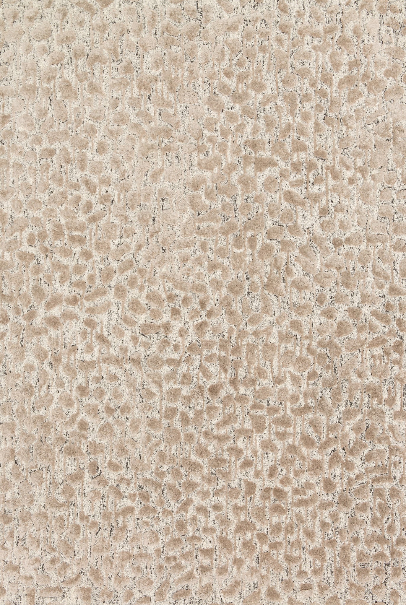 Juneau Ash / Taupe — a Loloi rug at Laurie Yapp Home.