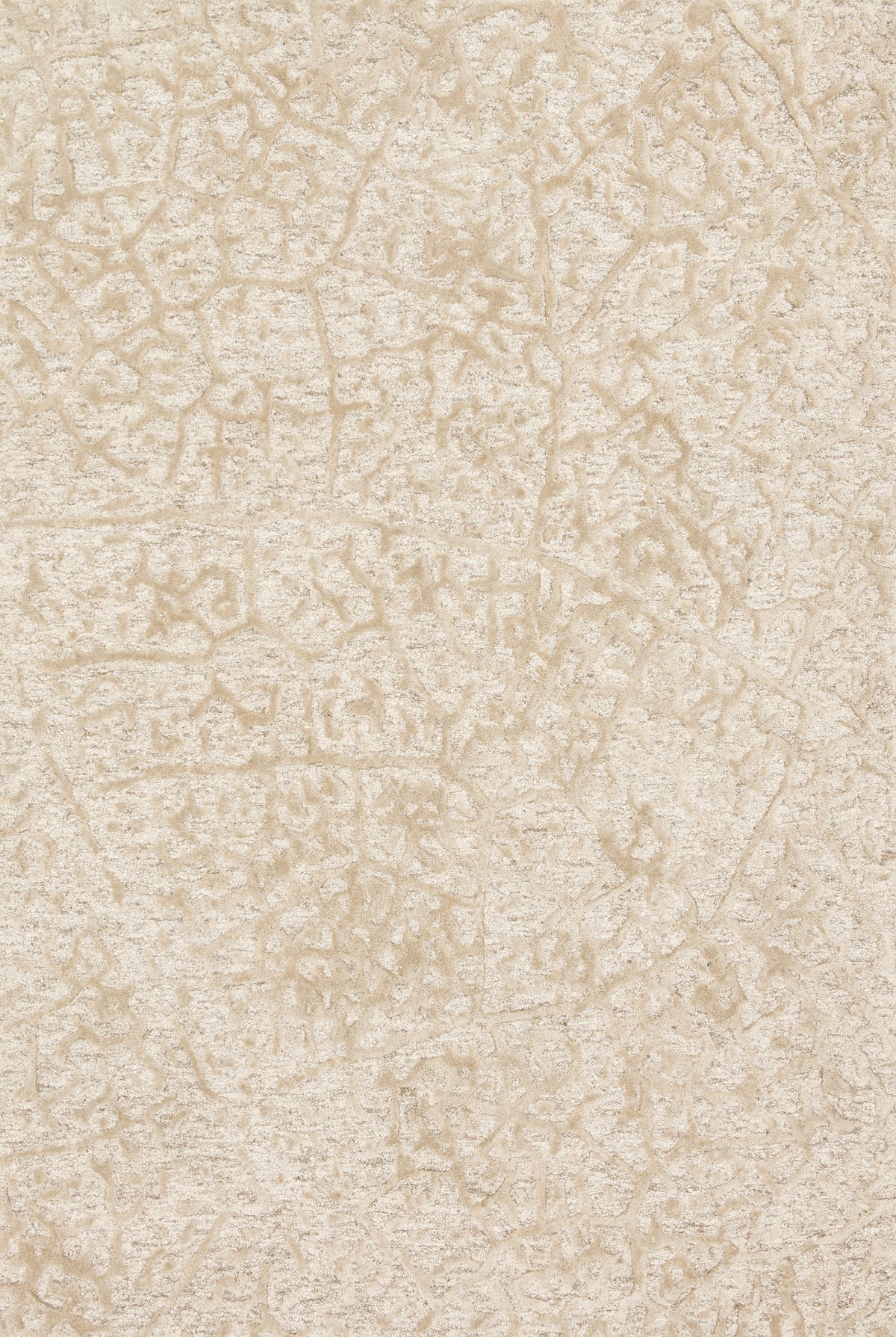 Juneau Ant Ivory / Beige — a Loloi rug at Laurie Yapp Home.